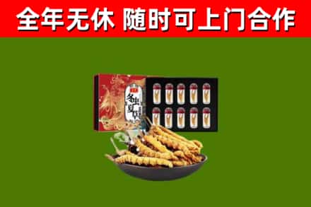 锦屏回收冬虫夏草价格